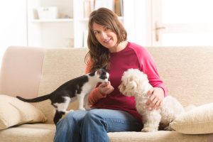 pet medications for cats dogs and all pets